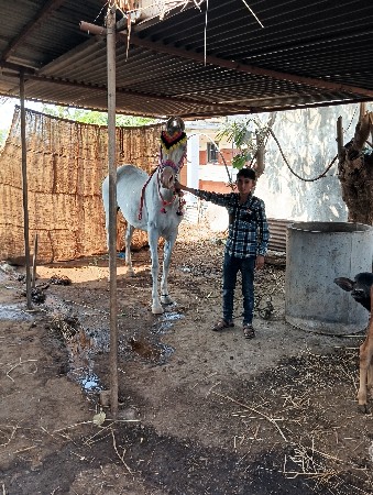 थंबनेल 3