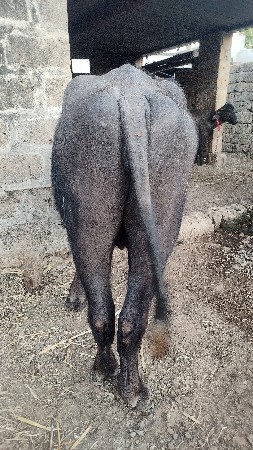 थंबनेल 6