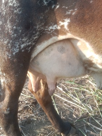 थंबनेल 2