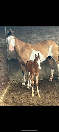 थंबनेल 2