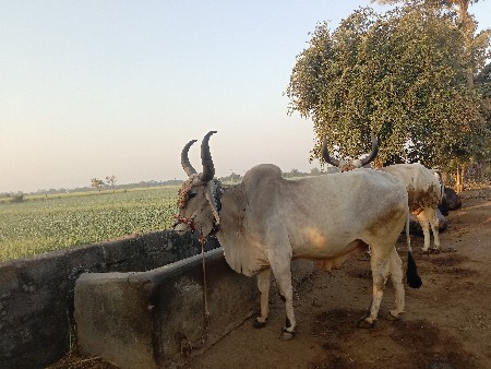 थंबनेल 2