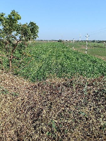 थंबनेल 2