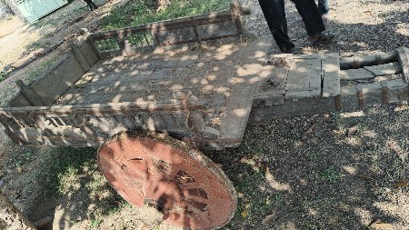 थंबनेल 2