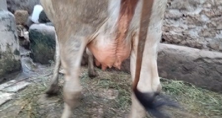 थंबनेल 3