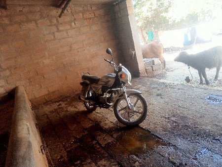 थंबनेल 3