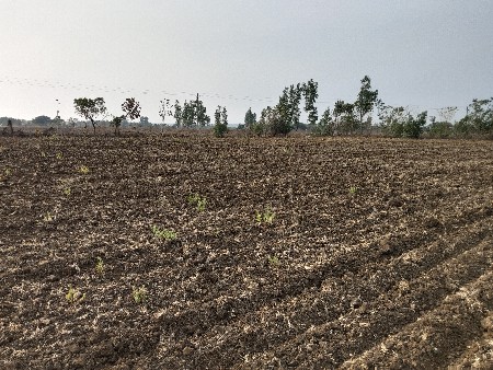 જમીન વેચવાની છે