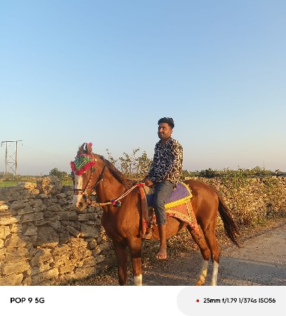 વેસવાનીસે