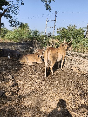 थंबनेल 3