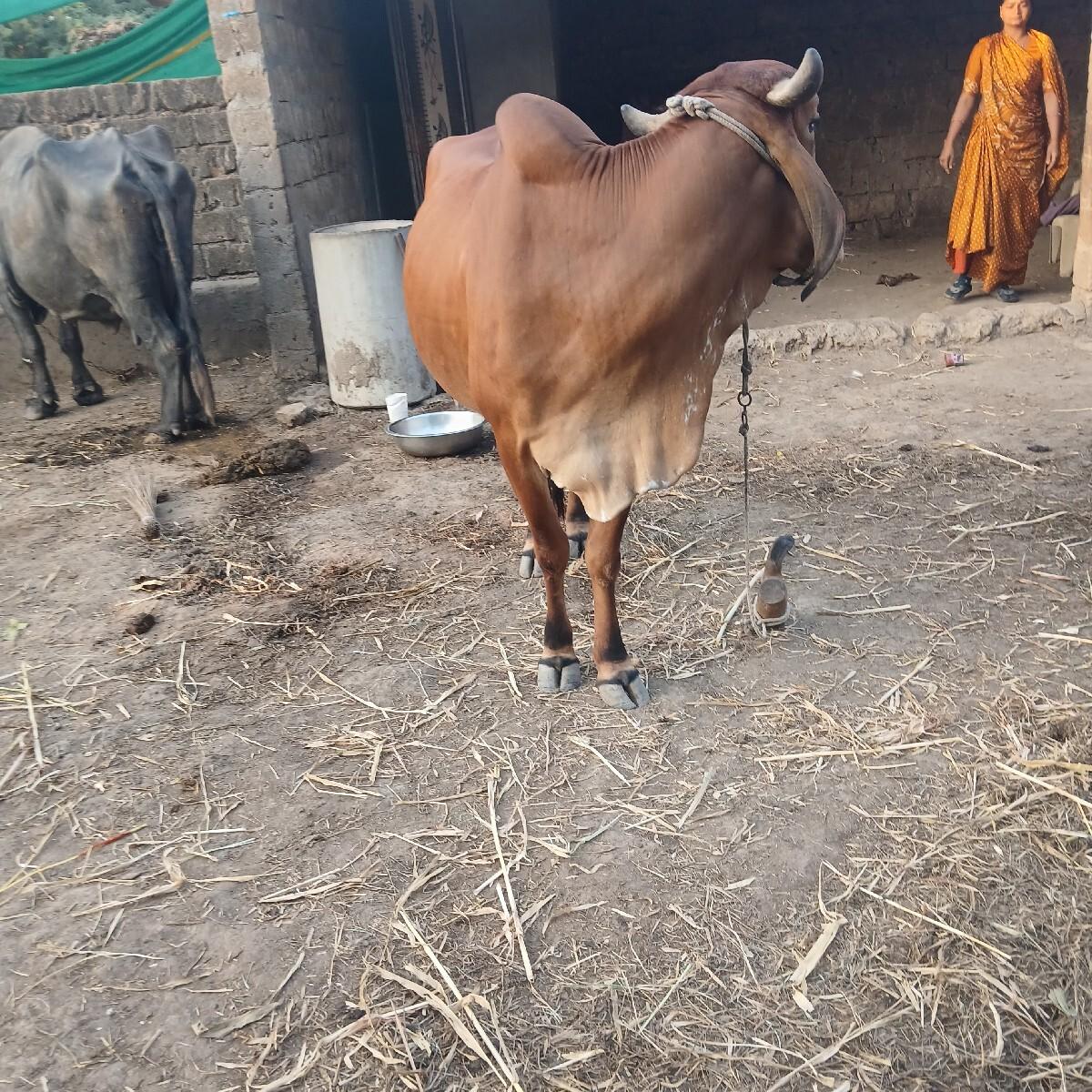 थंबनेल 3