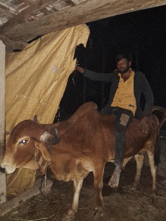 थंबनेल 3