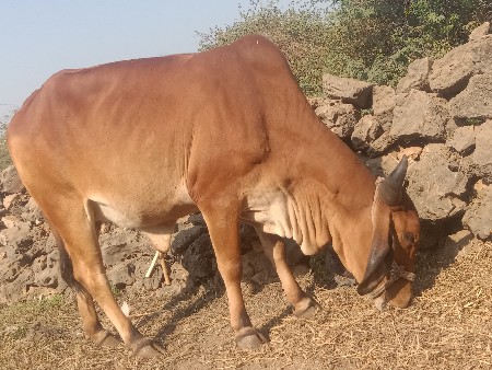 थंबनेल 2