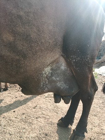 थंबनेल 2