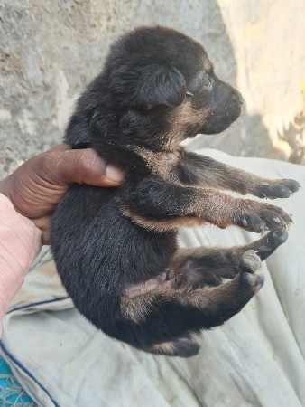 थंबनेल 3