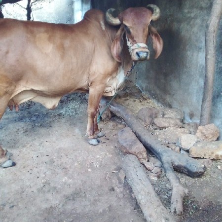 थंबनेल 2