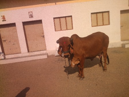 थंबनेल 3