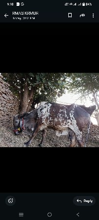 थंबनेल 2