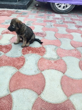 થંબનેલ 3