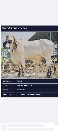 थंबनेल 4