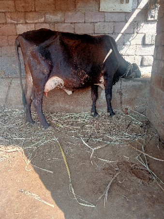 થંબનેલ 4