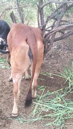 थंबनेल 2