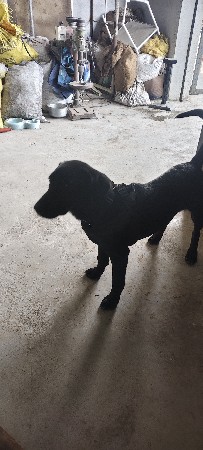 थंबनेल 2