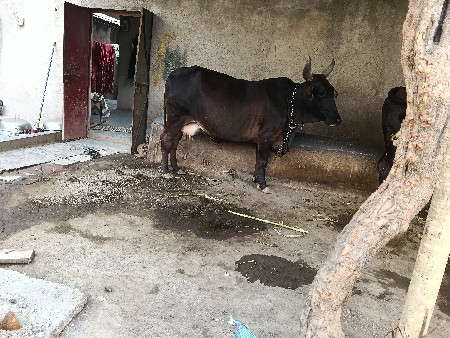 थंबनेल 3