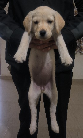 थंबनेल 3