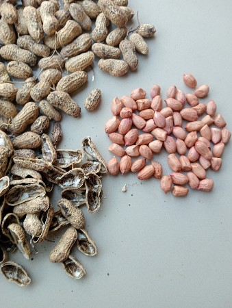 biyarn ni magfali vesvani se