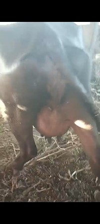 9723197610  ફોન કરો