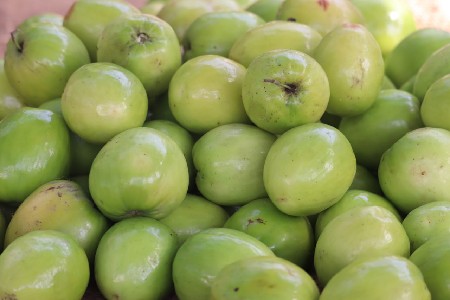 थंबनेल 3