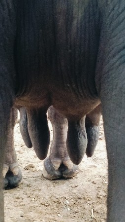 थंबनेल 2