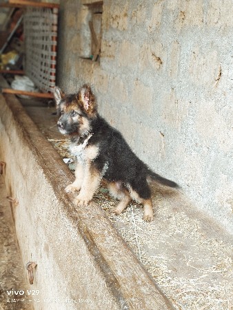 थंबनेल 3