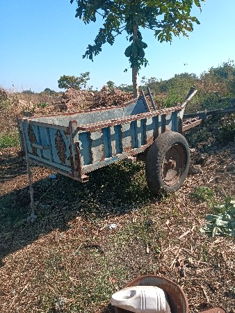 થંબનેલ 3