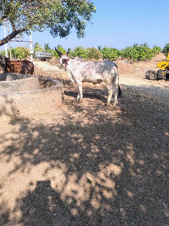 थंबनेल 2