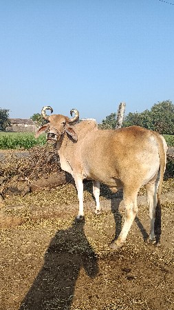 थंबनेल 2