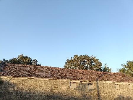 નળિયા,વાસા, પટ્ટી વેચવાની છે..