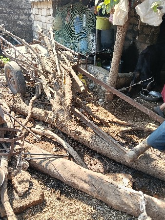 એક બરઘ નુ ગાડુ