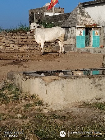 थंबनेल 3