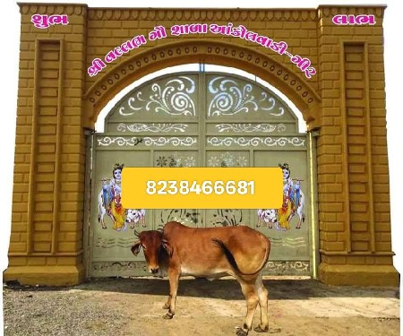 થંબનેલ 3