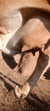 थंबनेल 3