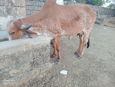 થંબનેલ 3