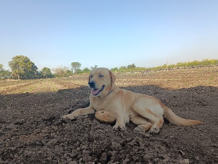 थंबनेल 3