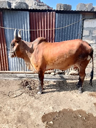 थंबनेल 2