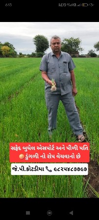 dugdi no rop vechvano se