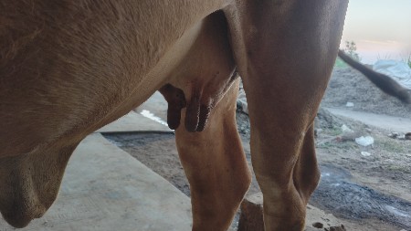 थंबनेल 2