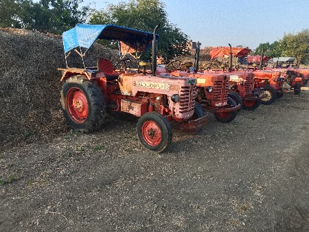 थंबनेल 5