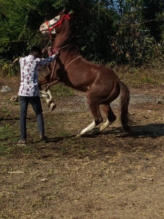 थंबनेल 3