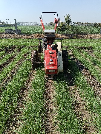 વેસવા નુ સે