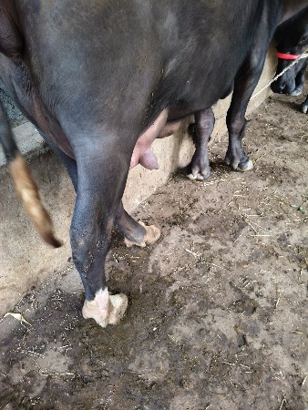 थंबनेल 2