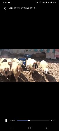 थंबनेल 3